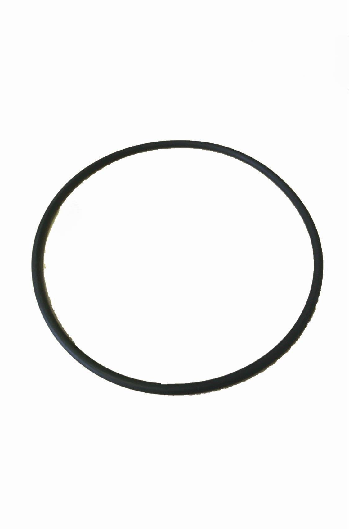 F. DICK - Dichtungsring Kunststoff für Dick-Tischfüller 6/9/12/15 Liter, 177 x 5,3 mm, 907190052