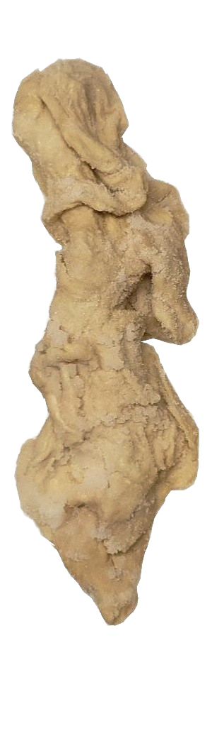 Fuchs - Frische Schweinekappe, 1 Stück Fuchs - Frische Schweinekappe, 1 Stück