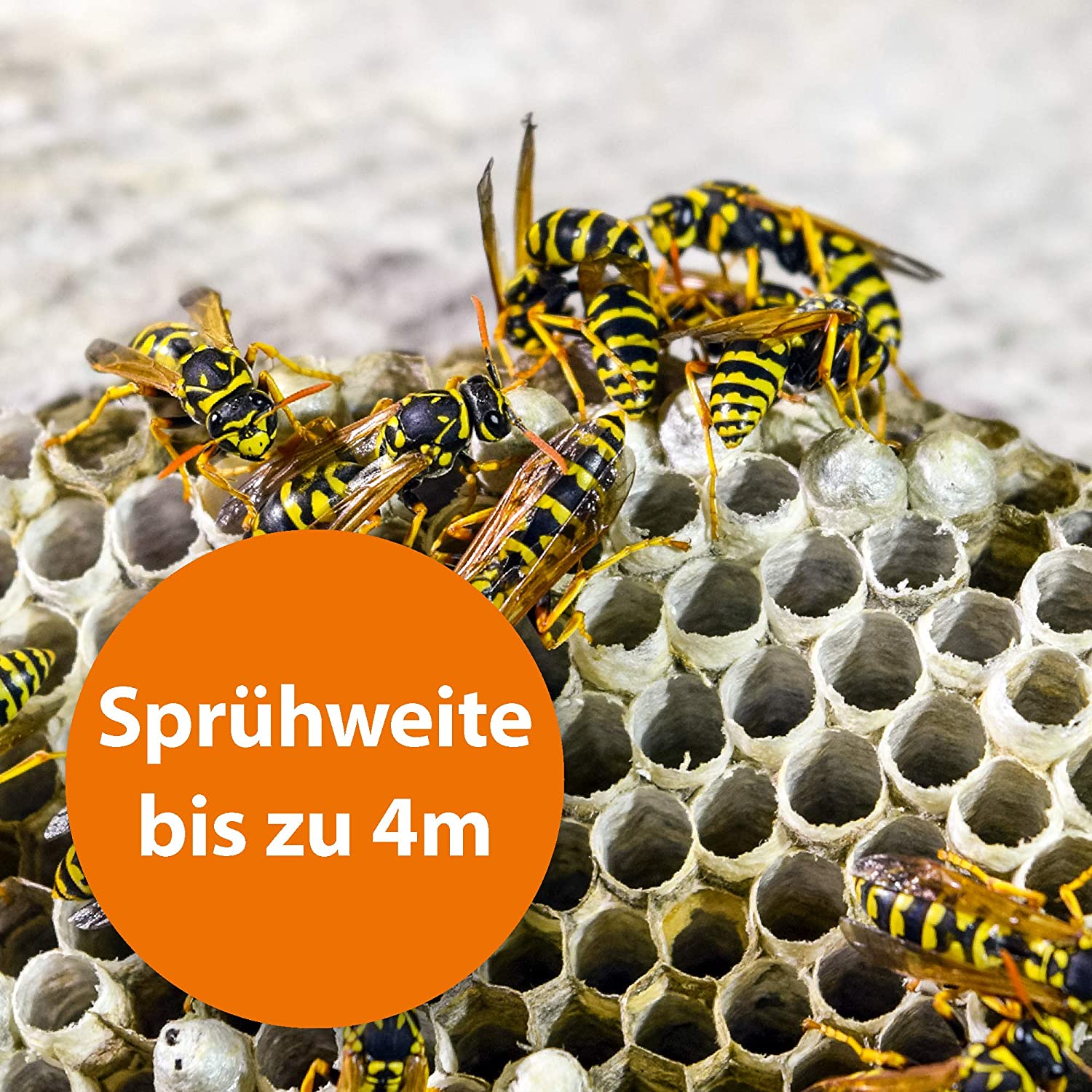 Ardap - Wespenspray, 400 ml Sprühdose Ardap - Wespenspray, 400 ml Sprühdose