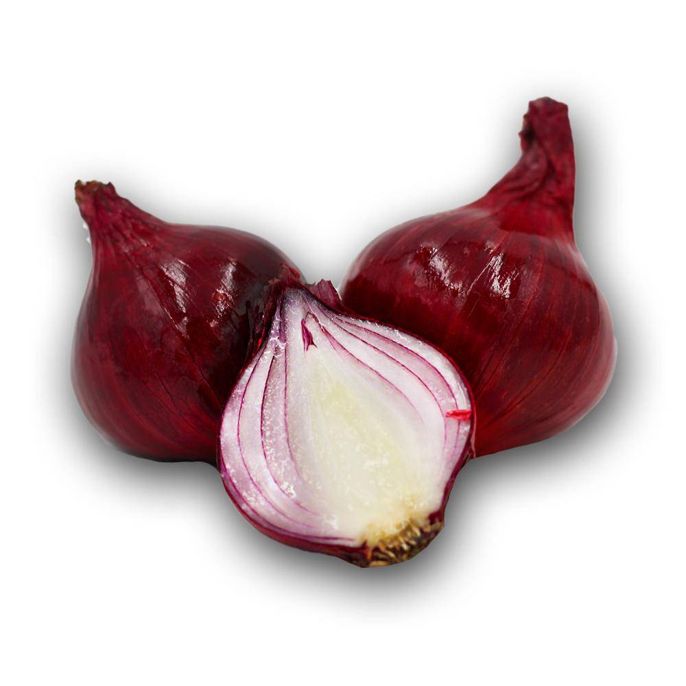 Rote Speisezwiebeln, 1 x 10 kg Netz, Herkunft: EG