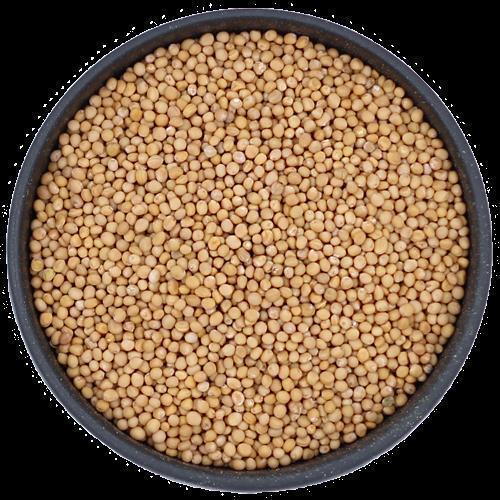 Swaran - Senfkörner ganz, 1 kg Beutel