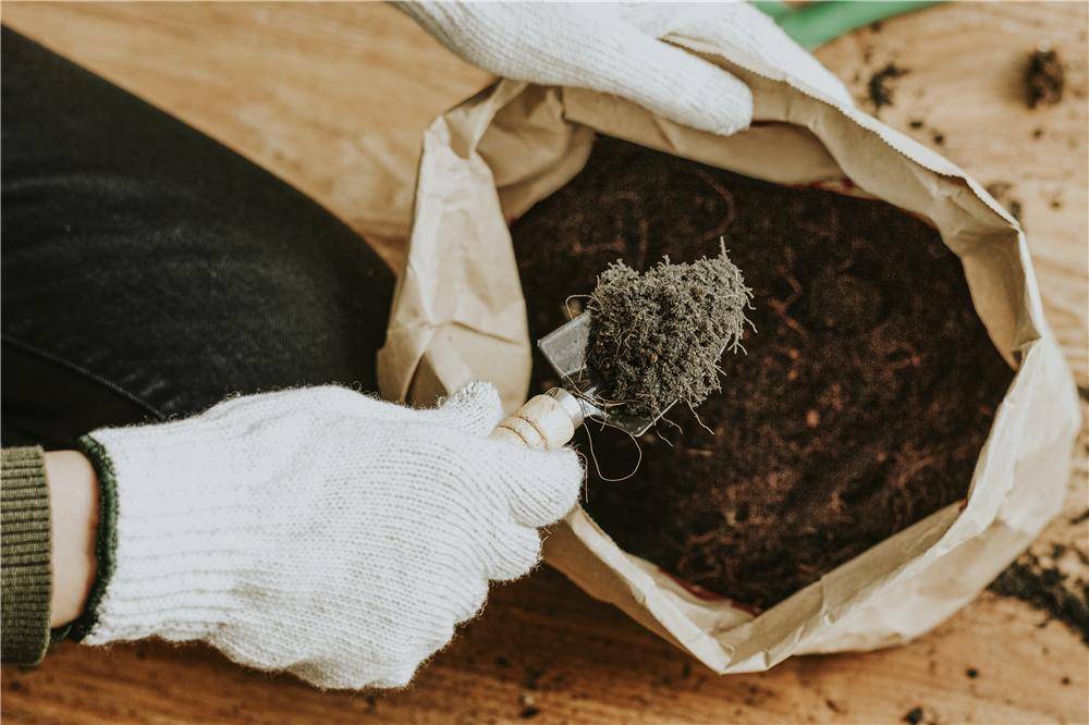 Fuduu.de - Biomüllbeutel, 10 Liter mit Blockboden