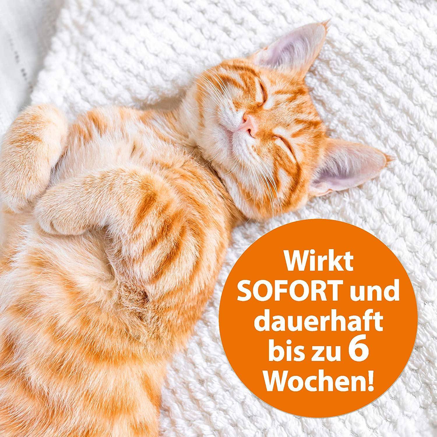 Ardap - Langzeit Flohspray, 500 ml Sprühdose