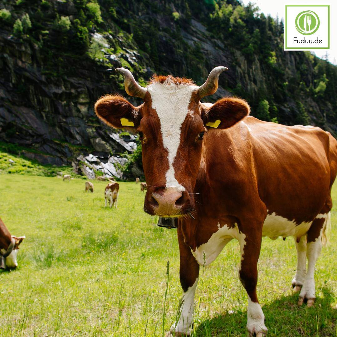 Schwarzwaldmilch Bioland - H-Vollmilch 3,5%, lactosefrei, 12 x 1 Liter Schwarzwaldmilch Bioland - H-Vollmilch 3,5%, lactosefrei, 12 x 1 Liter