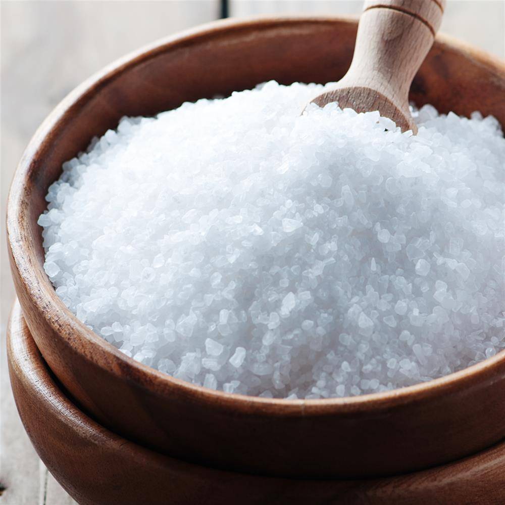 Fuduu.de - Nitritsalz / Pökelsalz mit Meersalz, 0,9%, 10 kg Eimer Fuduu.de - Nitritsalz / Pökelsalz mit Meersalz, 0,9%, 10 kg Eimer