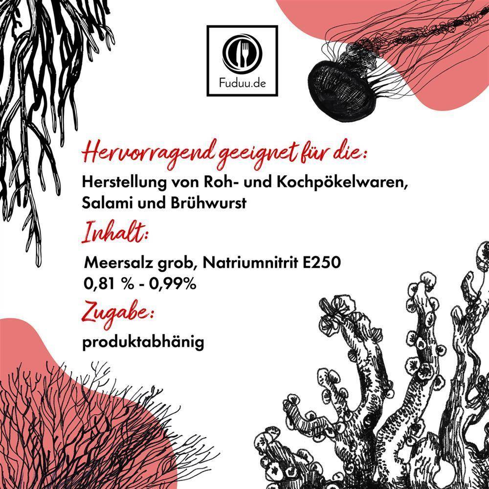 Fuduu.de - Nitritsalz / Pökelsalz mit Meersalz, 0,9%, 750 g Beutel Fuduu.de - Nitritsalz / Pökelsalz mit Meersalz, 0,9%, 750 g Beutel