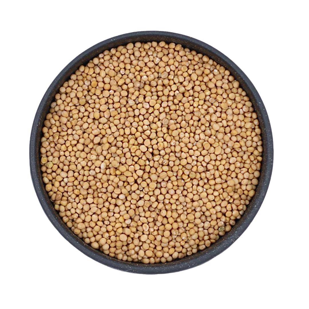 Fuduu.de - Senfkörner ganz Fuduu.de - Senfkörner ganz