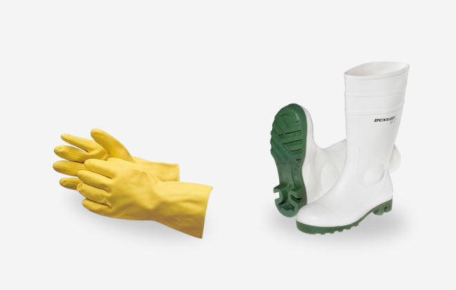 austattung-1 austattung-1