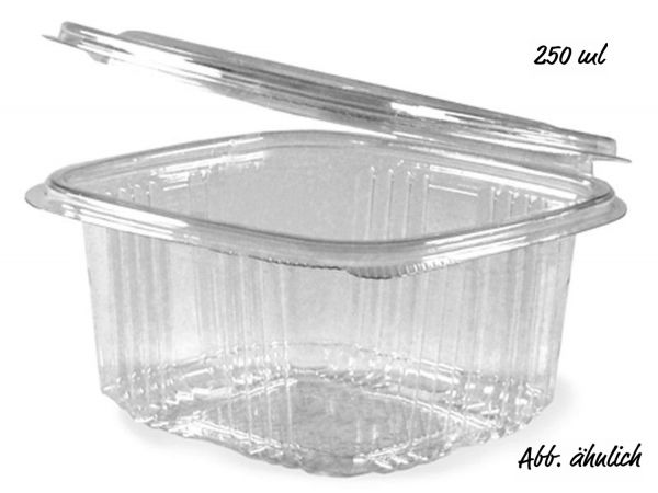 RPET Salatschale mit Klappdeckel, 250 ml, klar, rechteckig, 50 Stück
